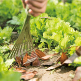 Worth Garden Powder Coating Carbon Steel Hand 9-Teeth Broom & Rake Tool with Ergonomic Soft PVC Grip